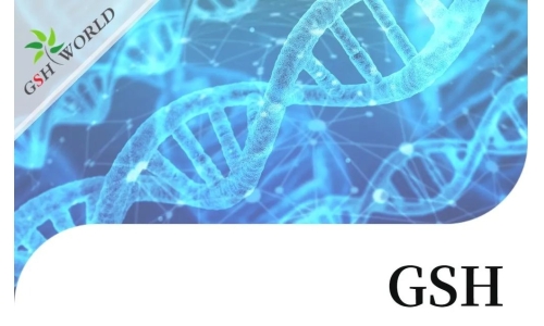 行業(yè)關(guān)注 - 谷胱甘肽結(jié)合幾種不同抗癌化療藥物的生物學作用