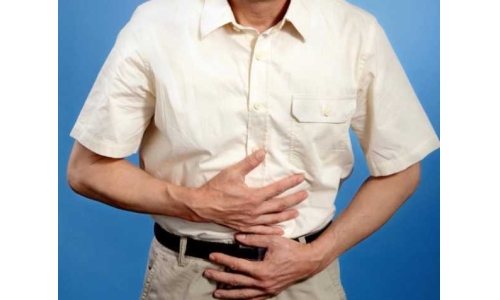 哪些成分對維護腸道健康有效？