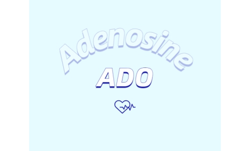 腺苷能做什么？