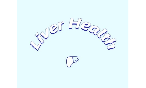 哪些原料可助力肝臟健康？