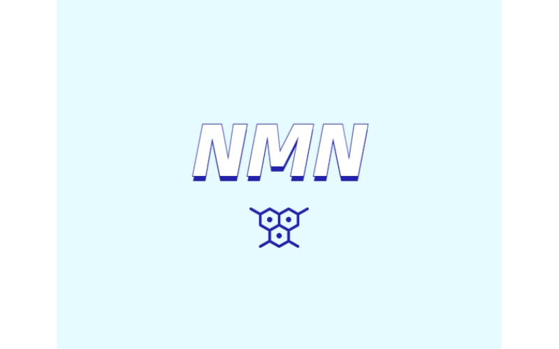 NMN對(duì)人體有什么潛在效果？
